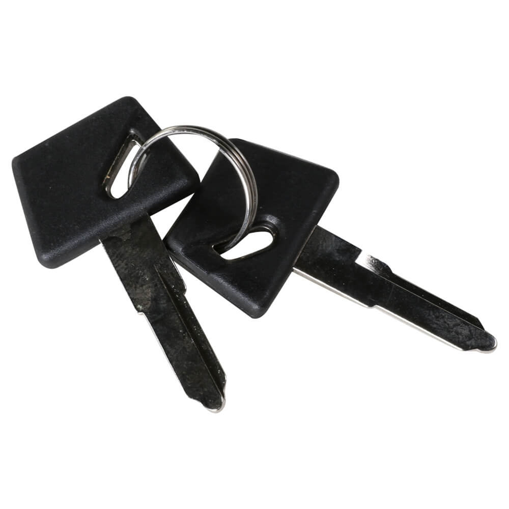 Spare Key Set For Ignition; CSC go., Go Max, Genuine Venture