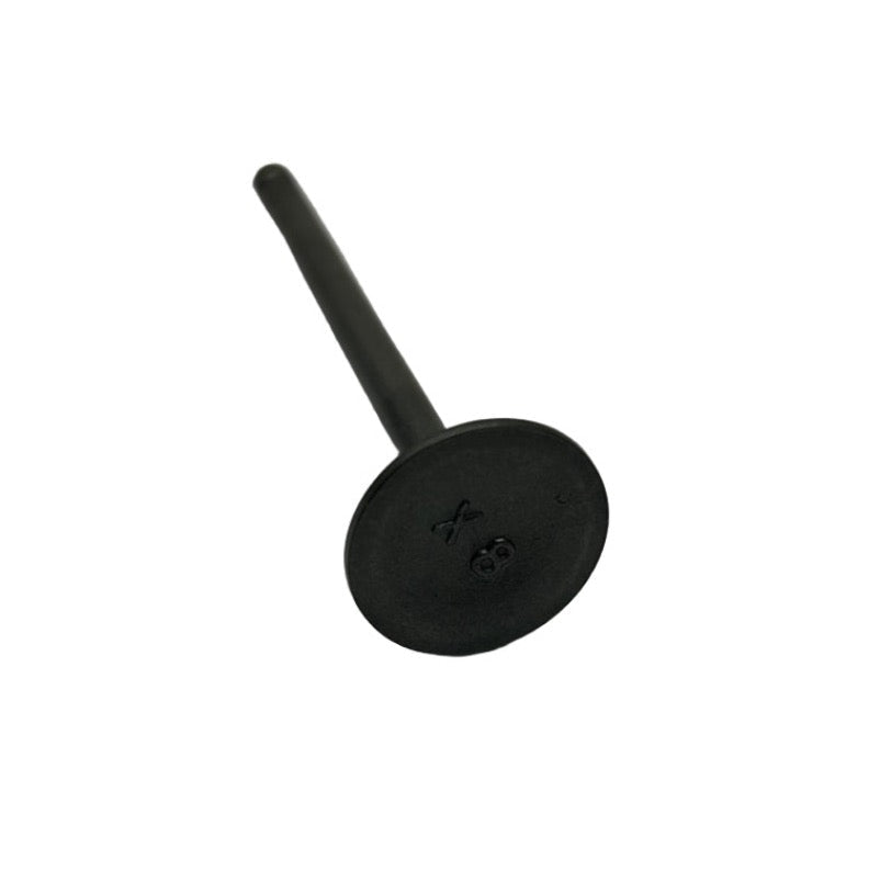 Valve, Exhaust; Stella 4T - view 2