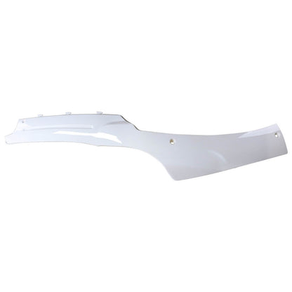 Right Lower Side Panel; CSC go, Other 139QMB Scooters