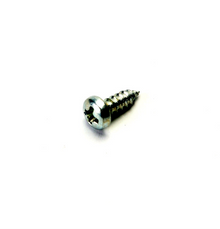 Backing Plate Screw (Rally, P/PX 200)