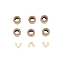 Transmission (CVT) Service Kit: Genuine Buddy 50 - view 2