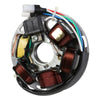 Stator Assembly (Euro); Vespa P/PX