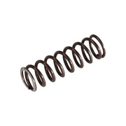 Clutch Spring ( Cosa )