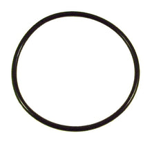 Universal Parts Spring Seat O-Ring