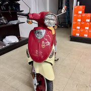 2013 Genuine Scooter Company Buddy 170i