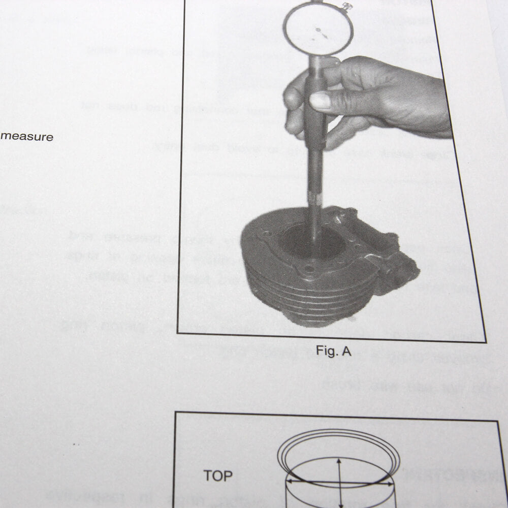 Stella 4T Service Manual - view 2