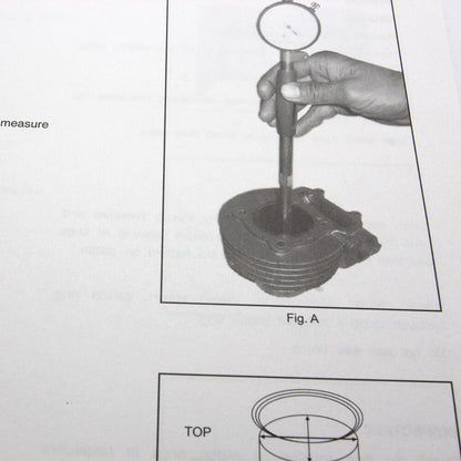 Stella 4T Service Manual - view 2
