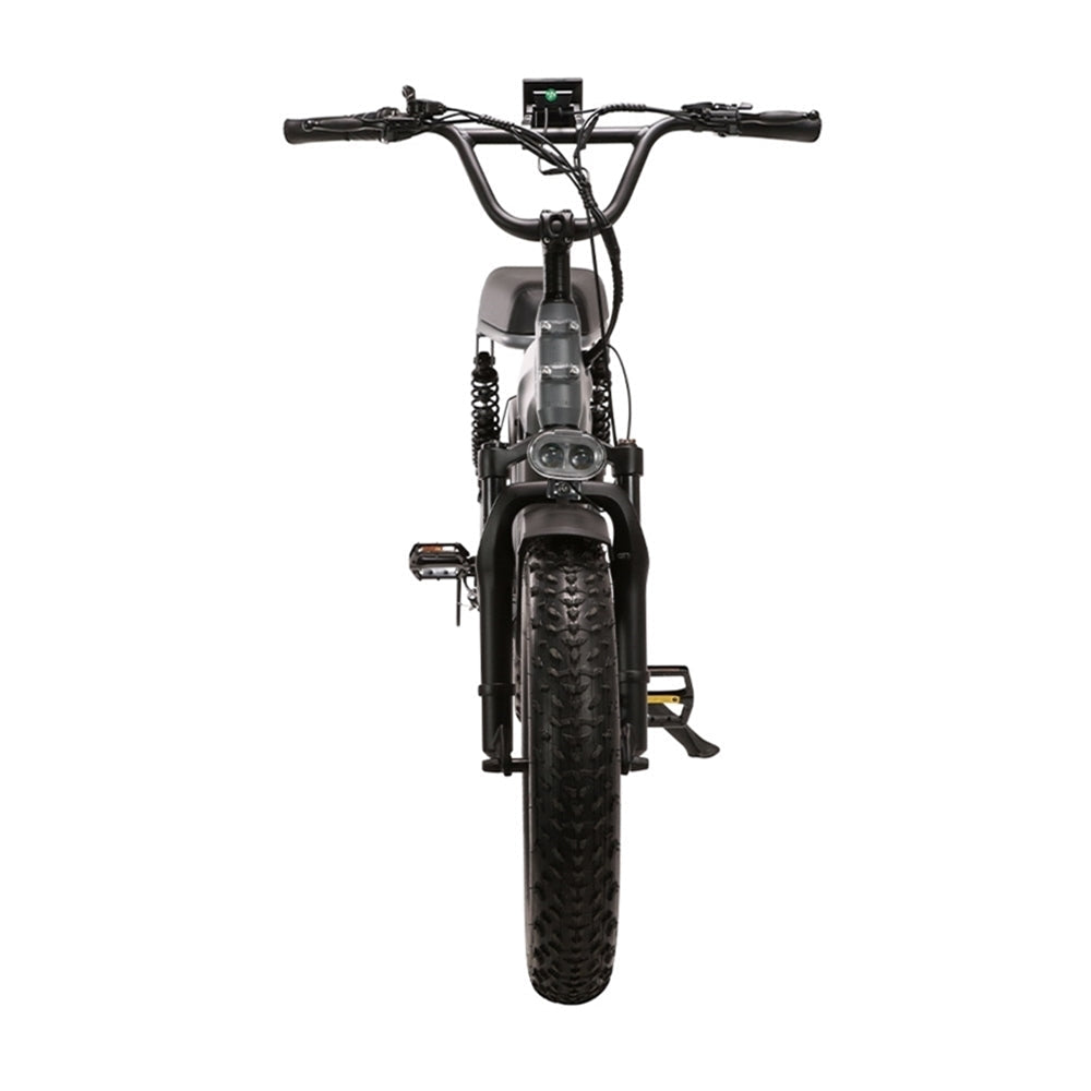 Genuine eBike XS 750F, 48V15Ah 750W Motor